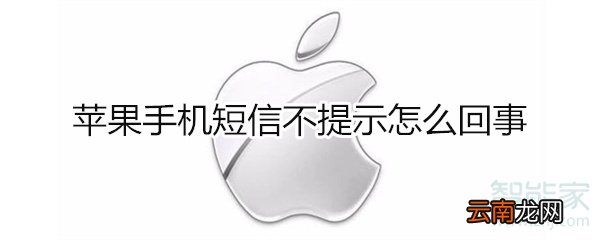 苹果手机短信不提示怎么回事