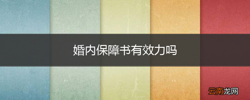 婚内保障书有效力吗