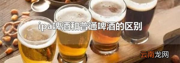 ipa啤酒和普通啤酒的区别