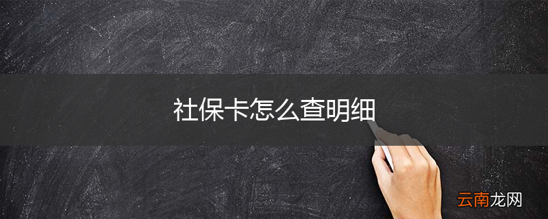 社保卡怎么查明细