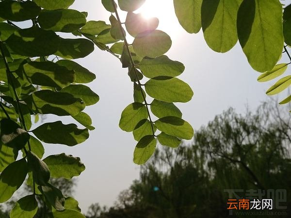 索尼Xperia XZs怎么样？值得买吗？