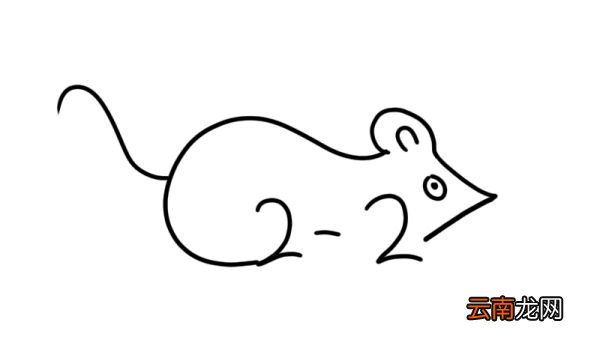 老鼠数字简笔画 老鼠的数字画法
