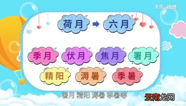 荷月是几月荷月什么意思