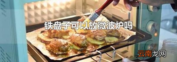 铁盘子可以放微波炉吗