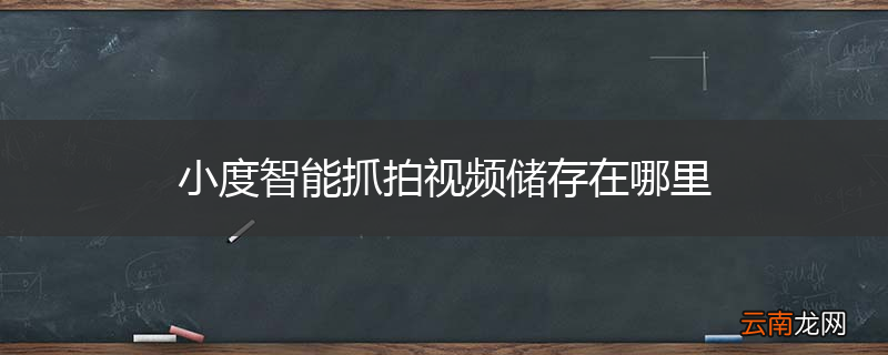 小度智能抓拍视频储存在哪里