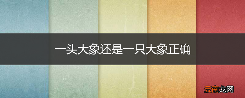 一头大象还是一只大象正确