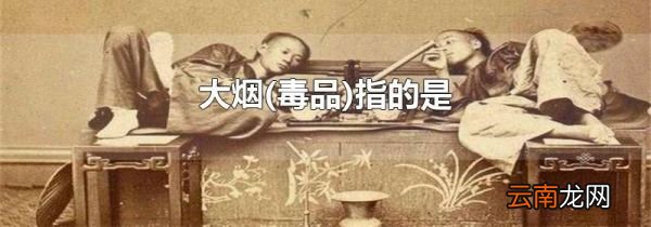 毒品 大烟指的是