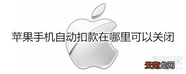 苹果手机自动扣款在哪里可以关闭
