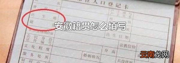 安徽籍贯怎么填写