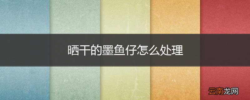 晒干的墨鱼仔怎么处理