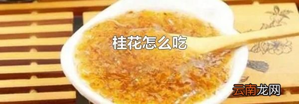桂花怎么吃