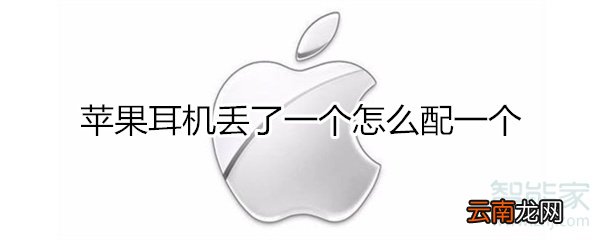 苹果耳机丢了一个怎么配一个