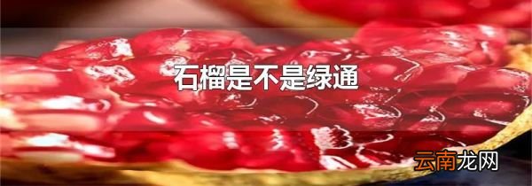 石榴是不是绿通