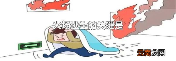 火场逃生的关键是