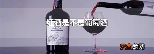 红酒是不是葡萄酒