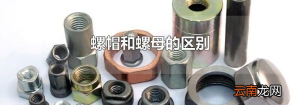 螺帽和螺母的区别