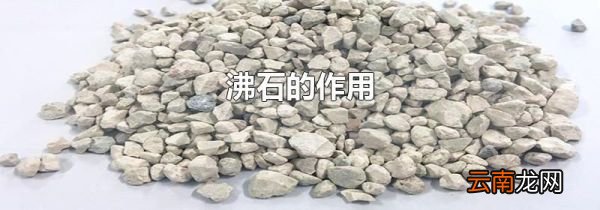 沸石的作用