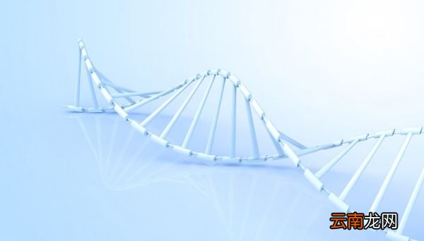 逆转录的原理及主要过程 逆转录的基本过程