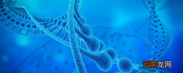 逆转录的原理及主要过程 逆转录的基本过程