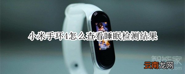 小米手环4睡眠检测结果在哪里