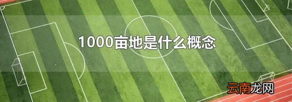 1000亩地是什么概念