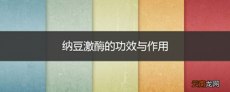 纳豆激酶的功效与作用