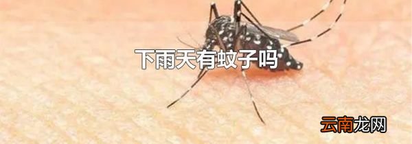 下雨天有蚊子吗