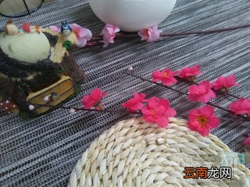 ivvi F1值得买好用吗？