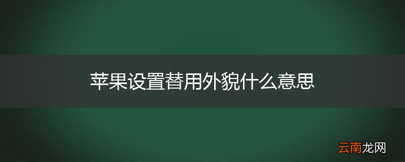 苹果设置替用外貌什么意思