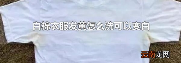 白棉衣服发黄怎么洗可以变白