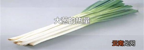 大葱的热量