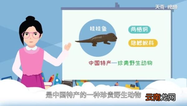 娃娃鱼是什么动物 什么是娃娃鱼