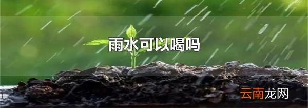 雨水可以喝吗