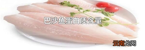 巴沙鱼蛋白质含量