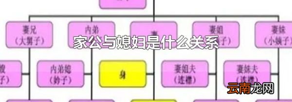 家公与媳妇是什么关系