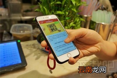 支付宝餐厅用油情况如何一键查询？