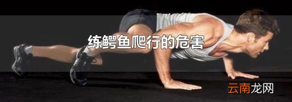 练鳄鱼爬行的危害