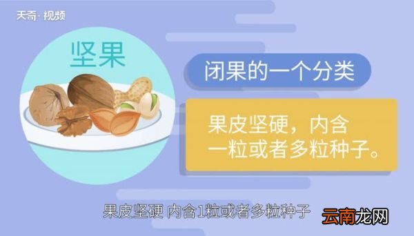 花生是坚果类吗 花生是坚果类食物吗