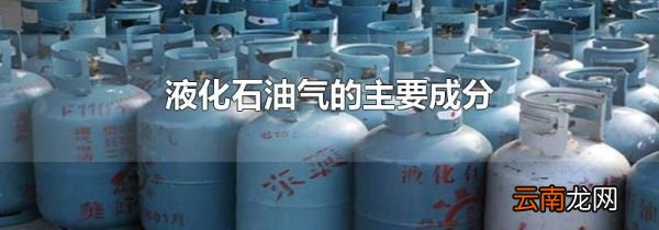 液化石油气的主要成分
