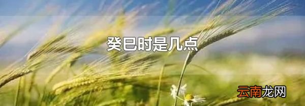 癸巳时是几点