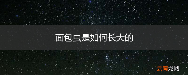 面包虫是如何长大的