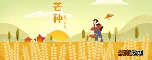 芒种节气含义是什么 芒种含义是什么