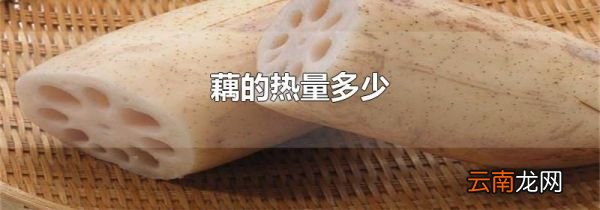 藕的热量多少