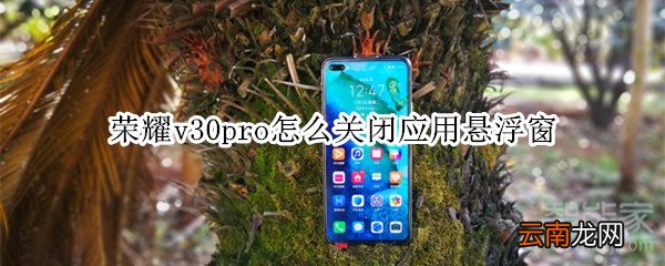 荣耀v30pro怎么关闭应用悬浮窗