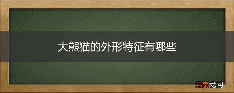 大熊猫的外形特征有哪些