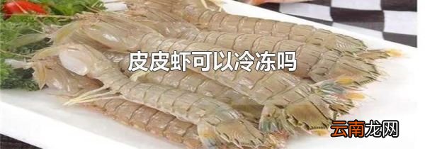 皮皮虾可以冷冻吗