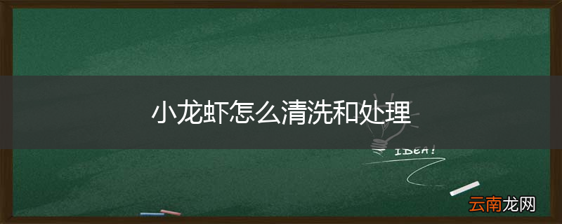小龙虾怎么清洗和处理