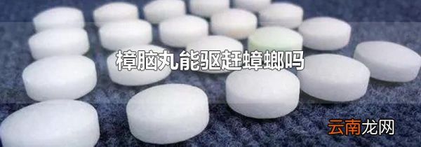 樟脑丸能驱赶蟑螂吗