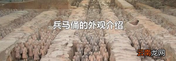 兵马俑的外观介绍