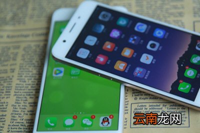 抖音中搜索不到本地音乐详细解决方法介绍